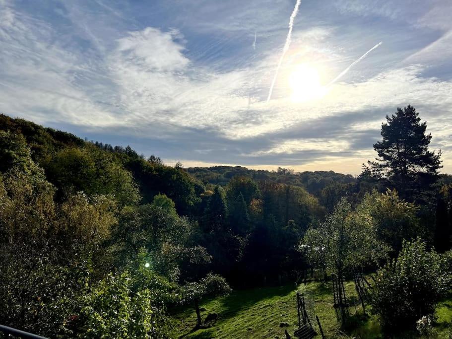 Forest Retreat- Serene 160M2 With Forest Views Wermelskirchen Exteriör bild