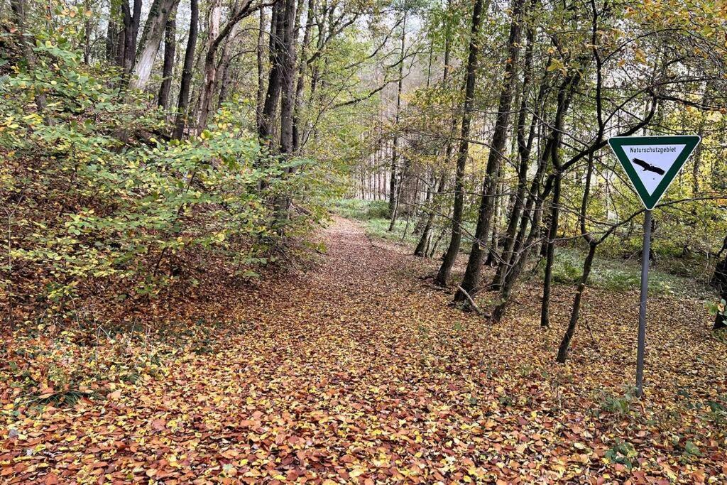 Forest Retreat- Serene 160M2 With Forest Views Wermelskirchen Exteriör bild